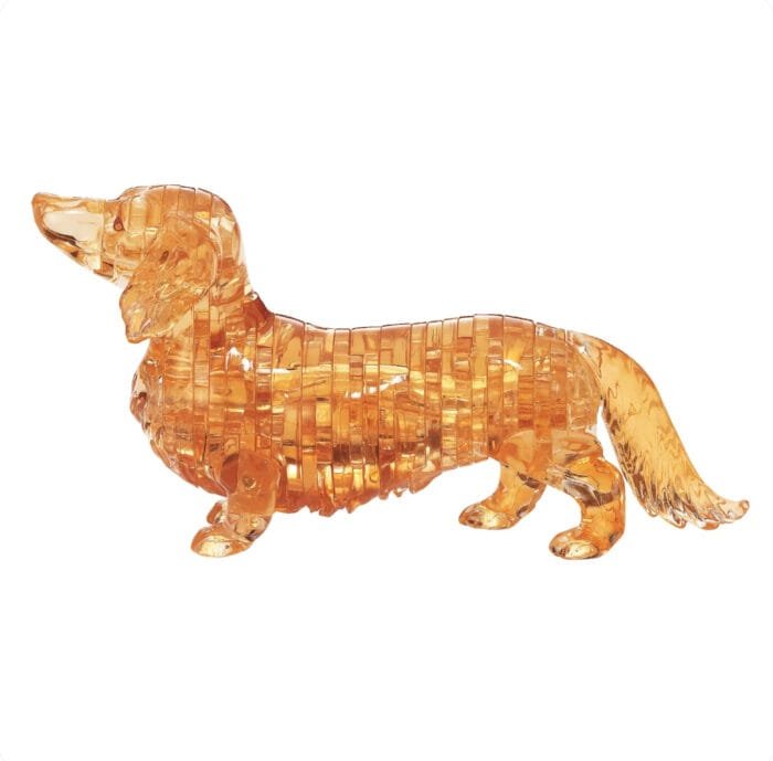 Dachshund