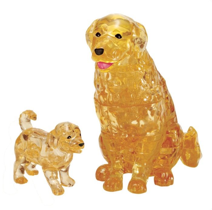 Golden Retriever & Puppy